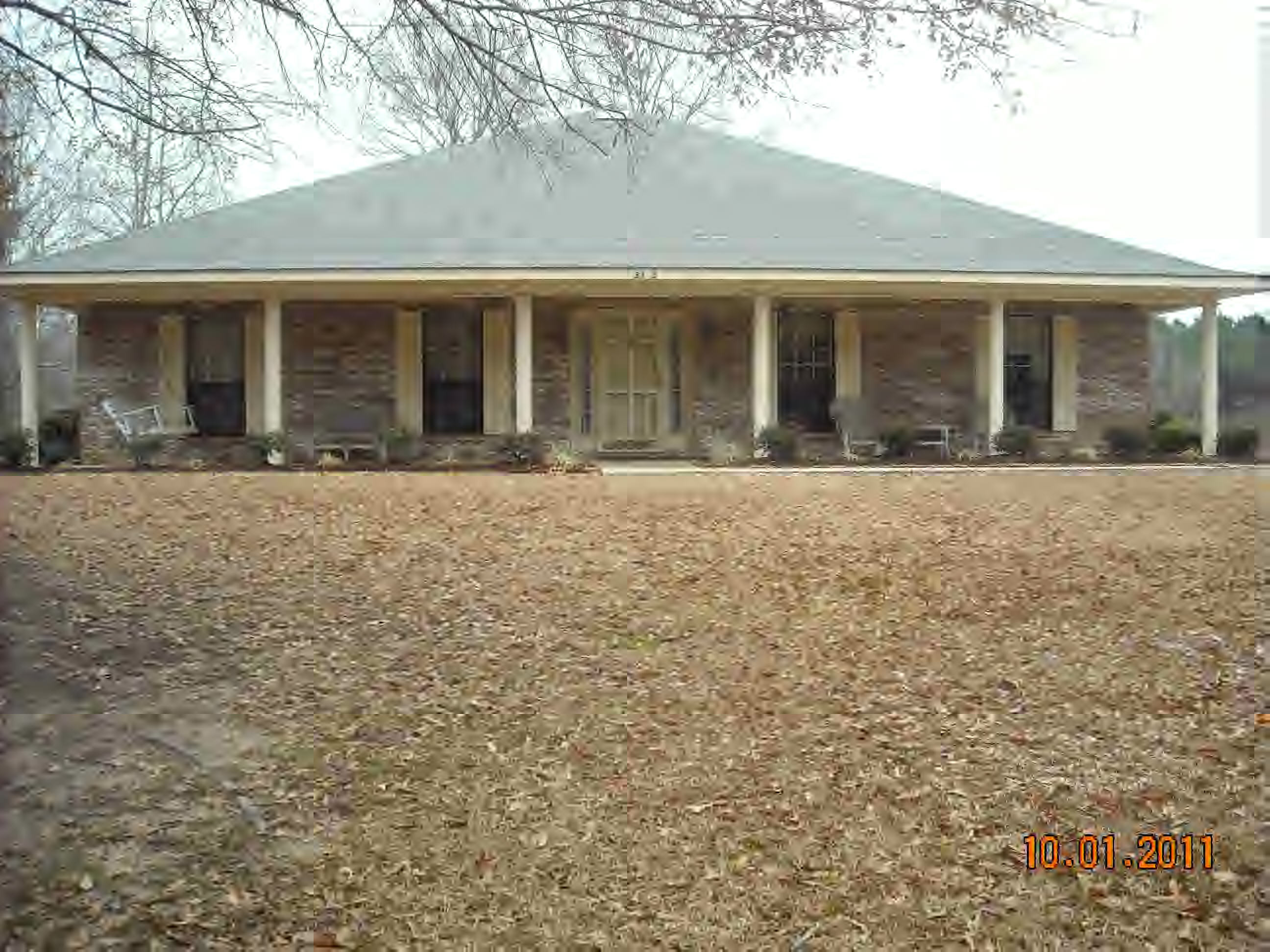 Main View