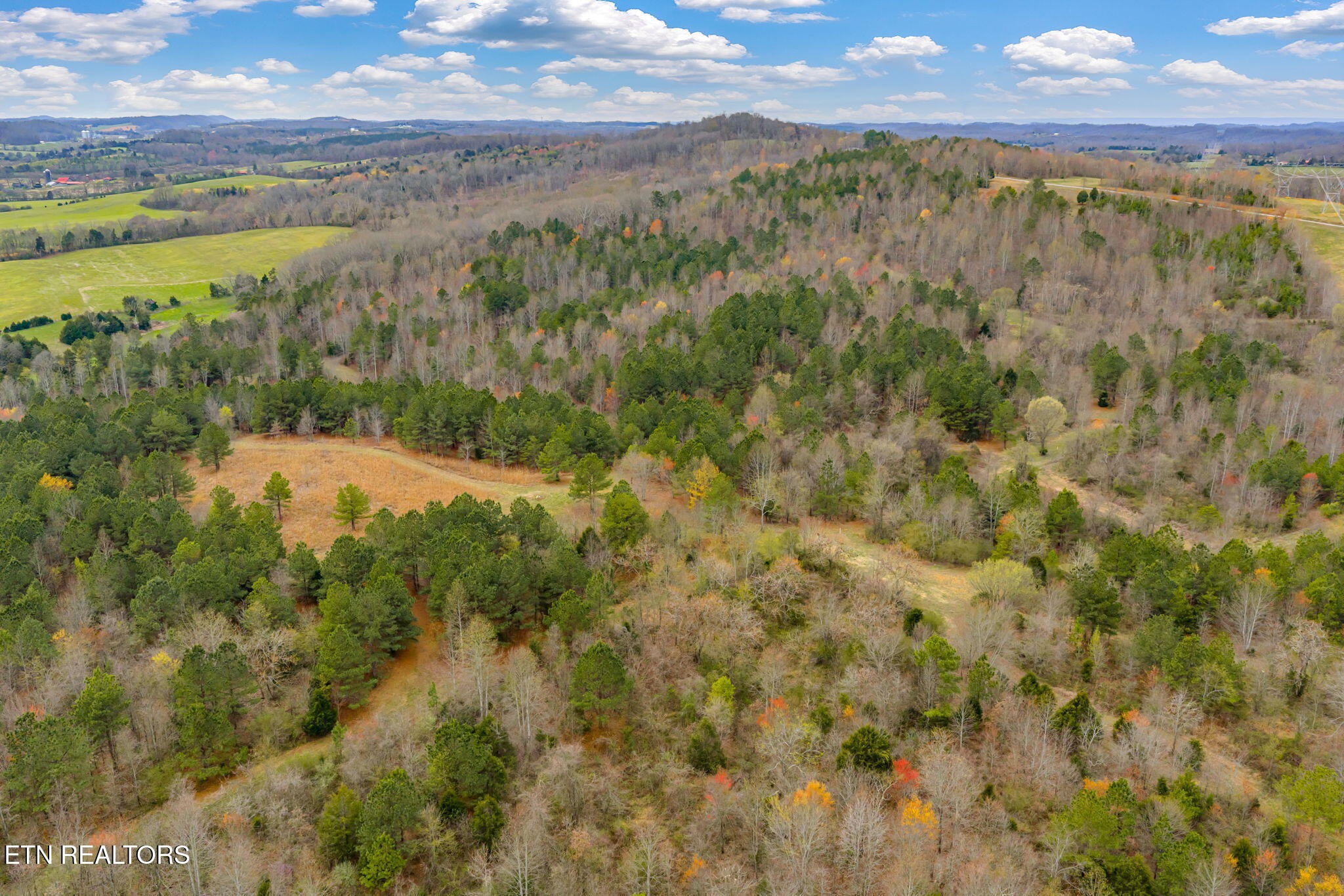 3493 Foshee Road Philadelphia, TN 37846 - Photo 11 of 60 Gallery Image 11