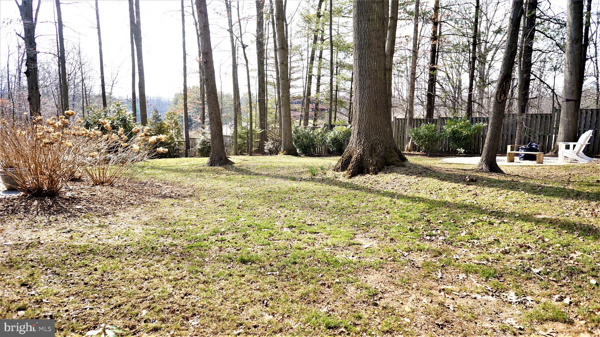 10810 Winter Corn Lane Reston, VA 20191 - Photo 67 of 67 Gallery Image 67