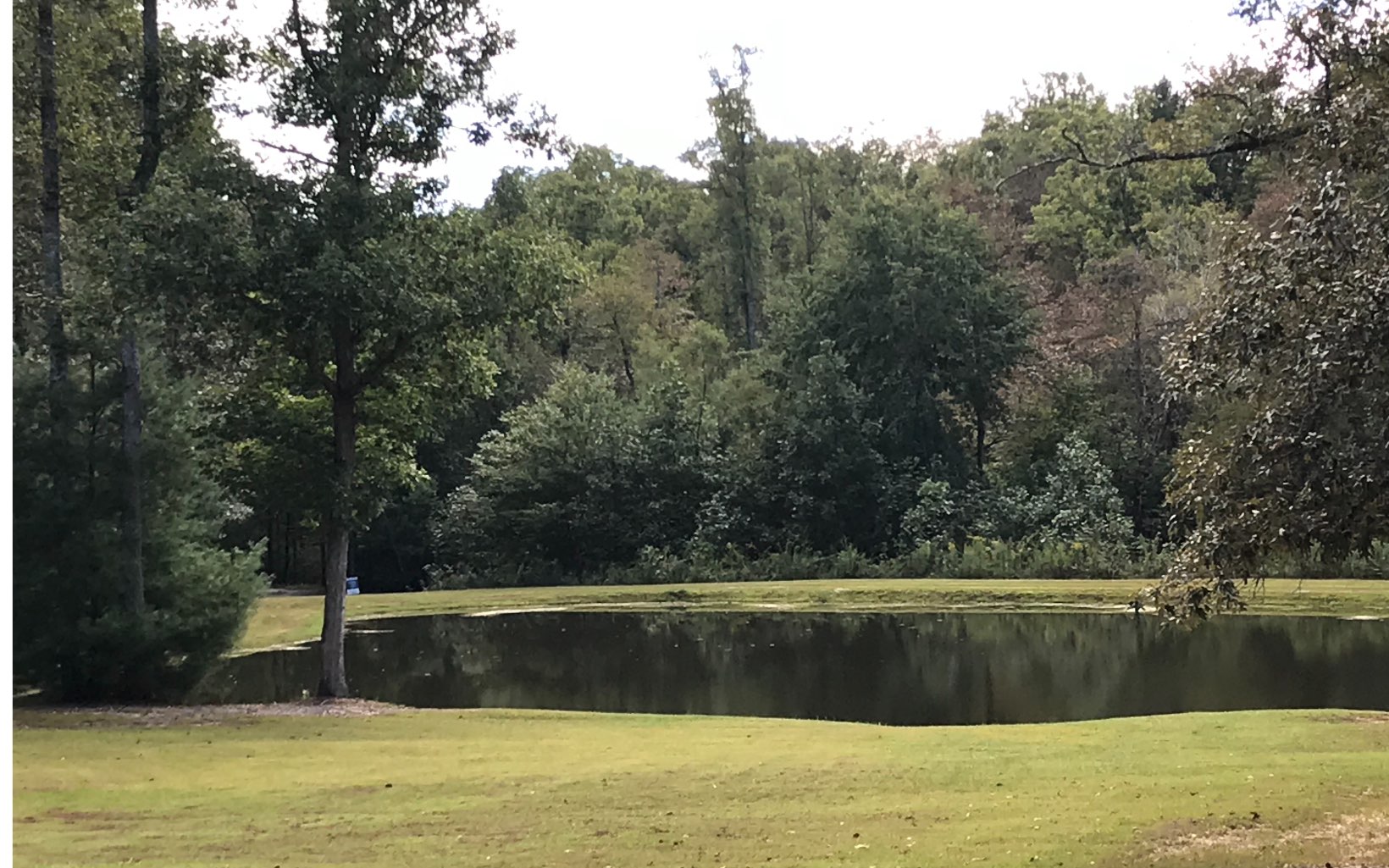 Oakey Ridge Road Morganton, GA 30560 - Photo 1 of 4 Main View