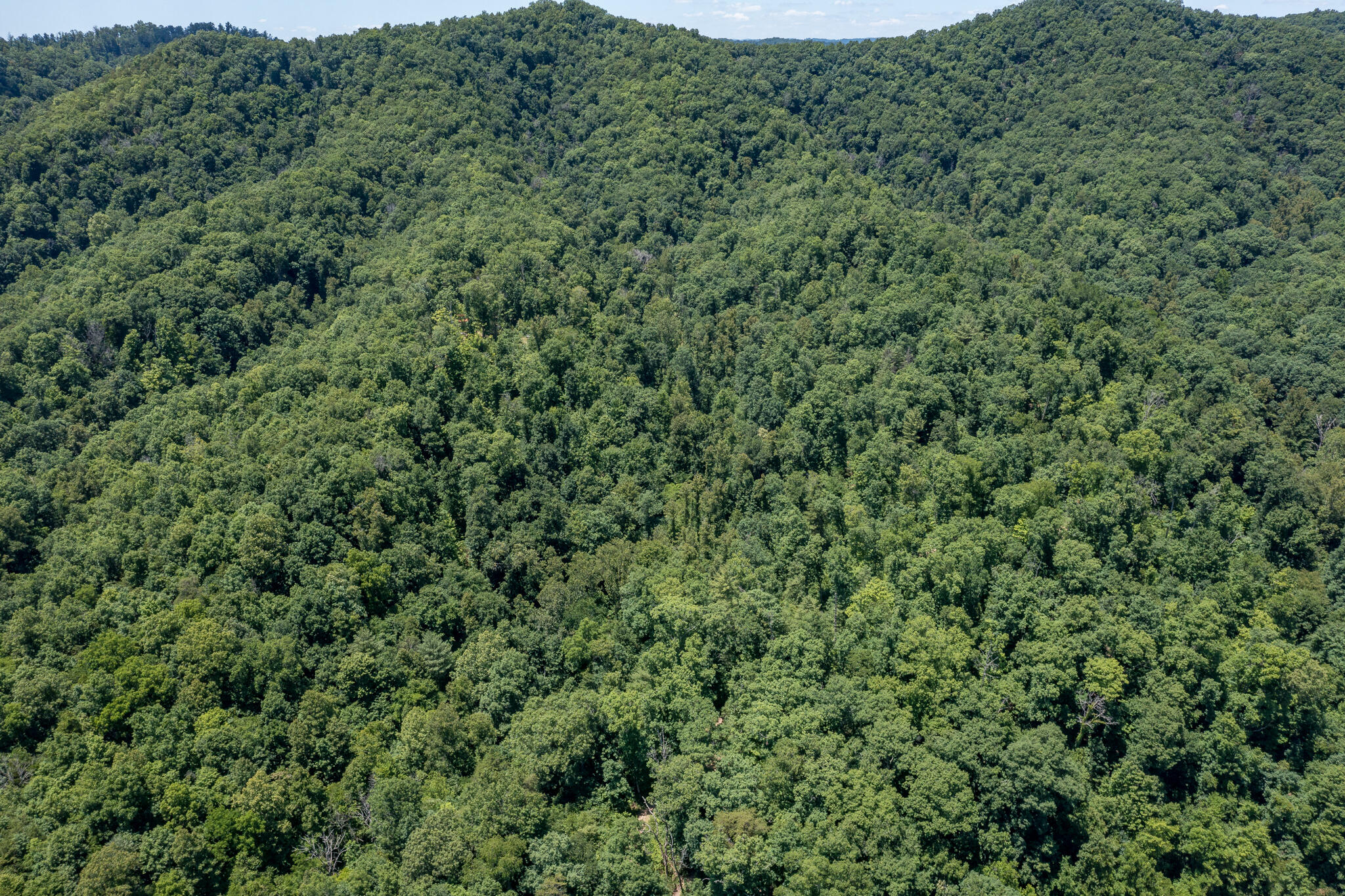 1676 Vance Tank Road Bristol, TN 37620 - Photo 8 of 22 1676 Vance Tank Rd (8 of 22)