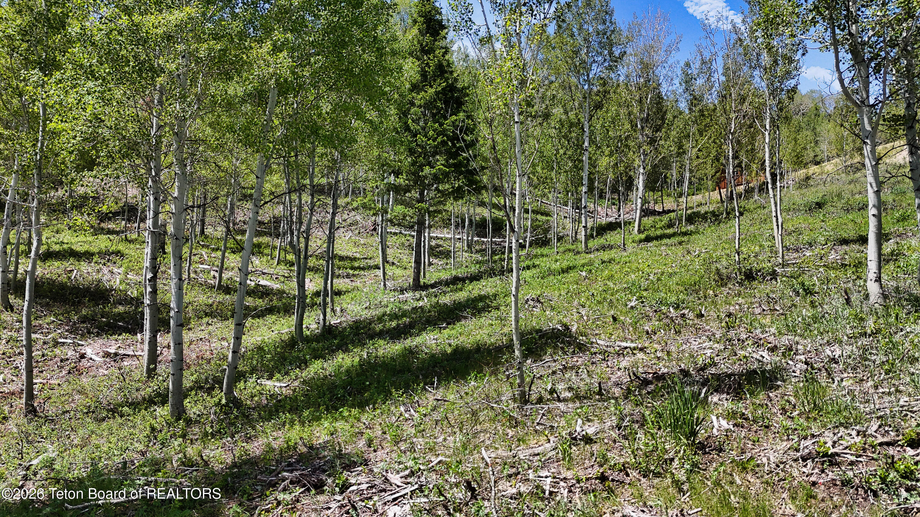 5248 South 4500 West Victor, ID 83455 - Photo 92 of 97 5248 S 4500 W_For MLS-19