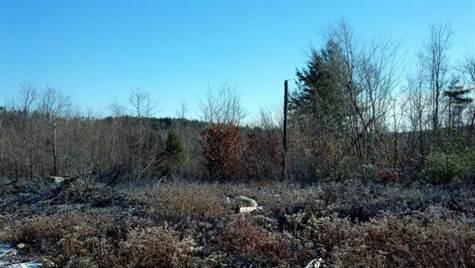 241 A Hog Fat Hill Road Sebago, ME 04029 - Photo 3 of 17 Photo