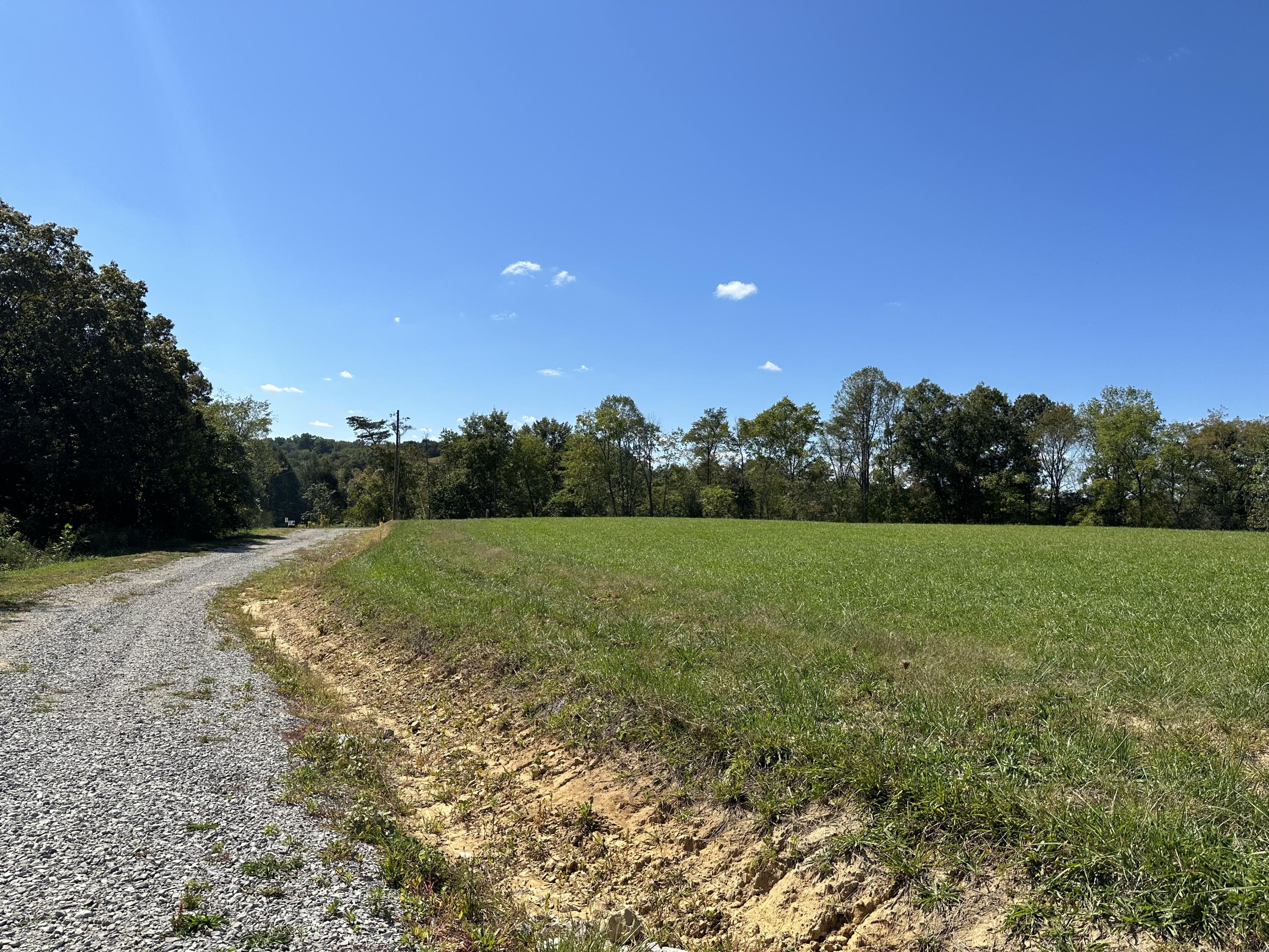 Lot 12 Baldwin Road McKee, KY 40447 - Photo 4 of 13 IMG_8728