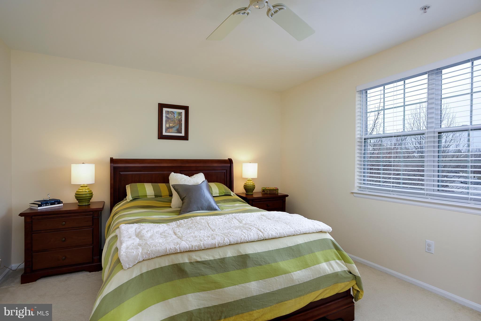 6384 Wind Rider Way Columbia, MD 21045 - Photo 14 of 30 Bedroom (Master)