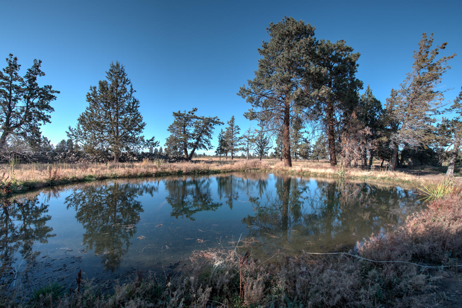 22222 Erickson Road Bend, OR 97701 - Photo 94 of 100 Main pond with 5 horsepower pump for irrigation