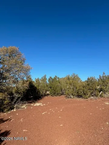 $20,000 | 872 East Deerlick Trail, Williams, AZ 86046