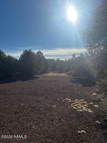 $20,000 | 872 East Deerlick Trail, Williams, AZ 86046