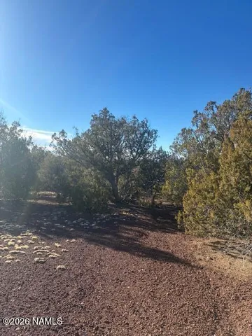 $20,000 | 872 East Deerlick Trail, Williams, AZ 86046