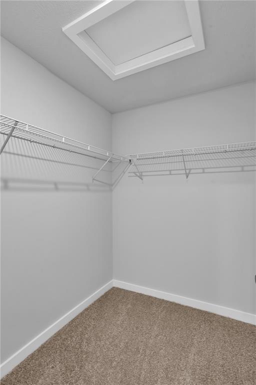 126 Scotland Lane Harmony, PA 16037 - Photo 26 of 43 a view of a room with racks on the wall