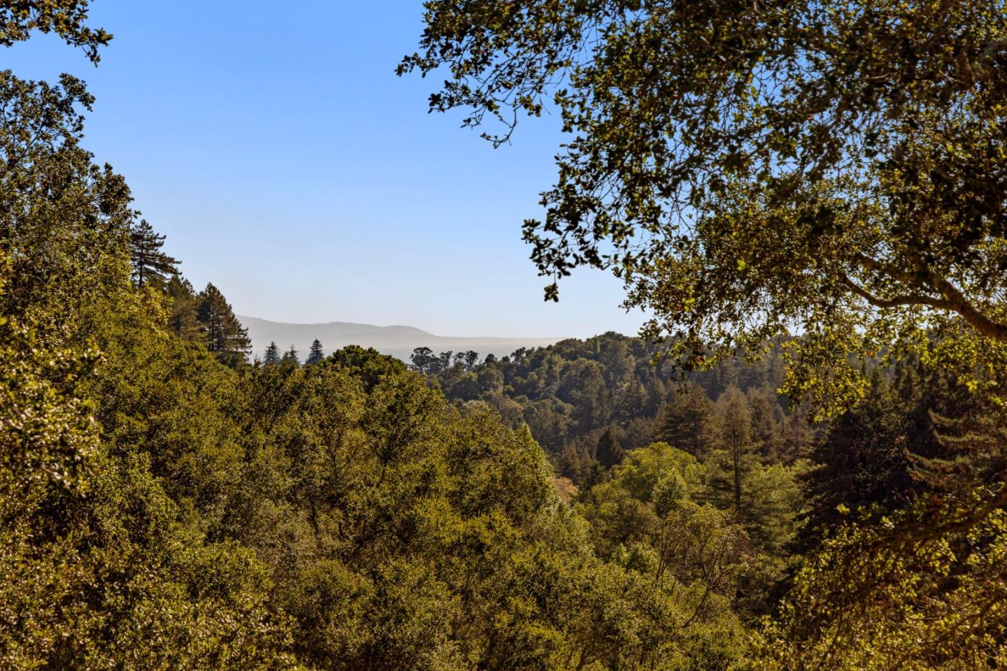 4710 North Rodeo Gulch Road Soquel, CA 95073 - Photo 27 of 97 a view of a tree in a field with a tree in back