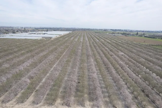 a view of an ocean beach