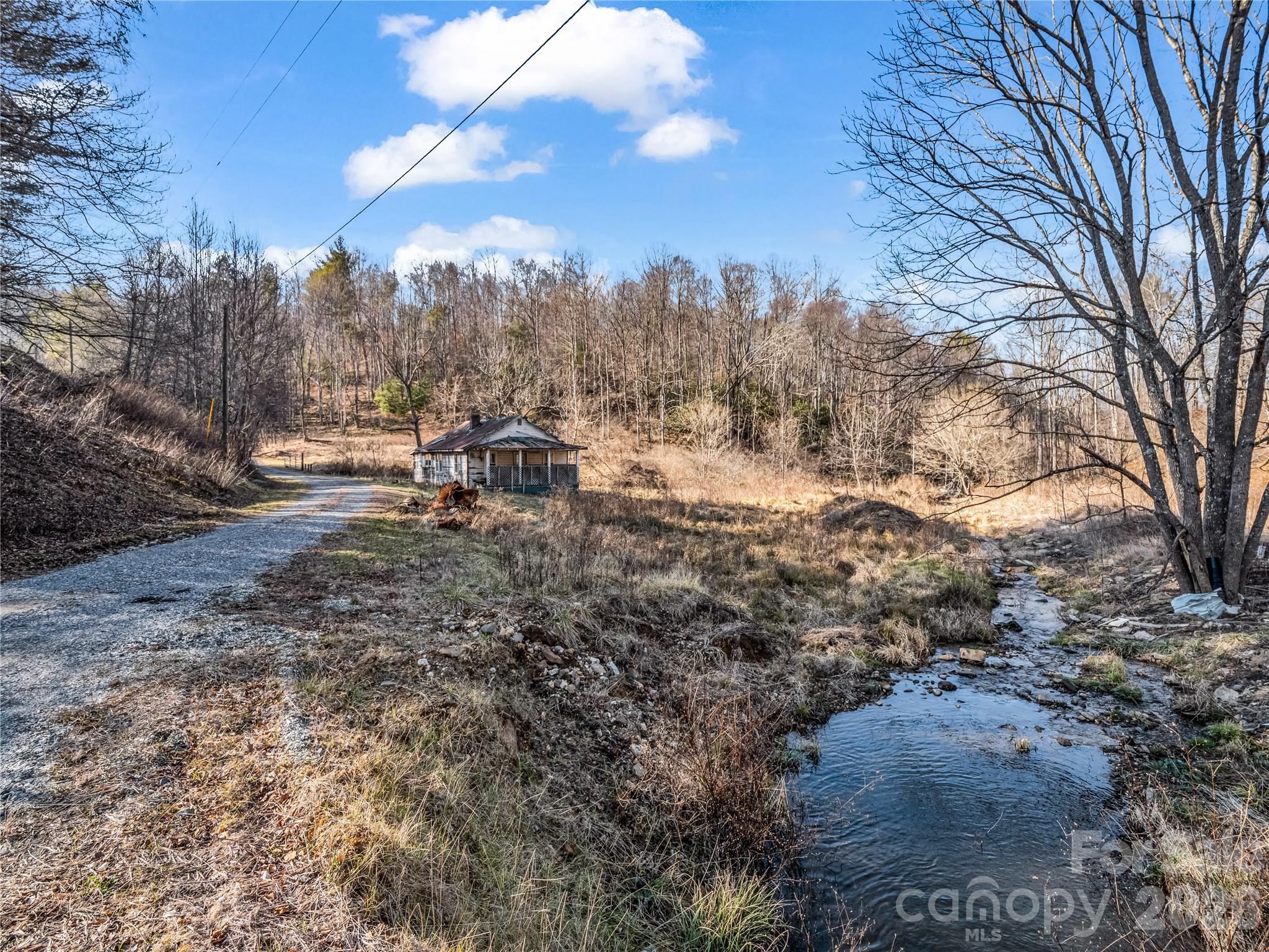 530 Mine Creek Road Bakersville, NC 28705 - Photo 1 of 18 a view of a yard with a tree