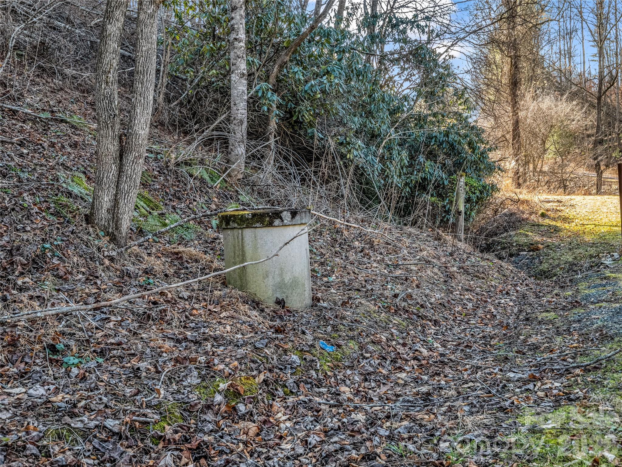 530 Mine Creek Road Bakersville, NC 28705 - Photo 12 of 18 a view of a garden with large trees