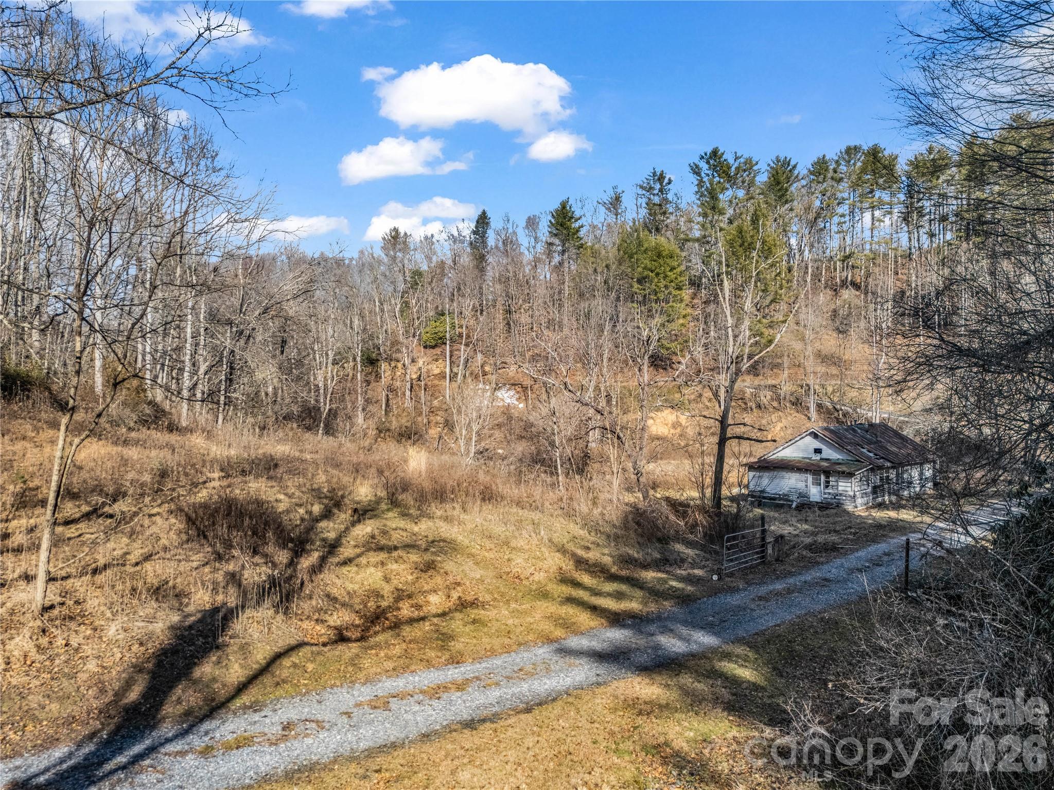 530 Mine Creek Road Bakersville, NC 28705 - Photo 18 of 18 a view of a yard with trees