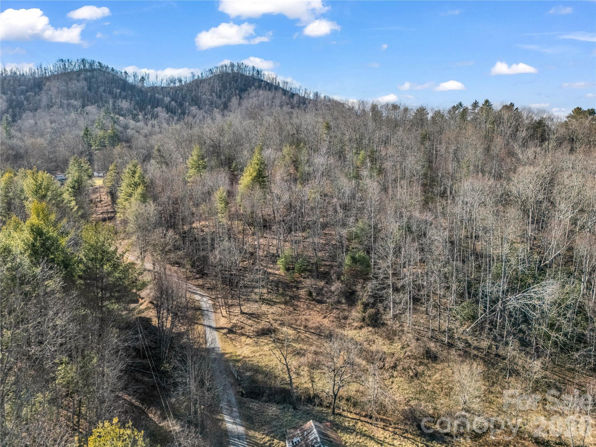 530 Mine Creek Road Bakersville, NC 28705 - Photo 2 of 18 a view of a city with lush green forest
