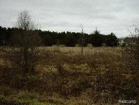 2 C Bowers Road Lapeer, MI 48446 - Photo 1 of 1 Par 2C Bowers