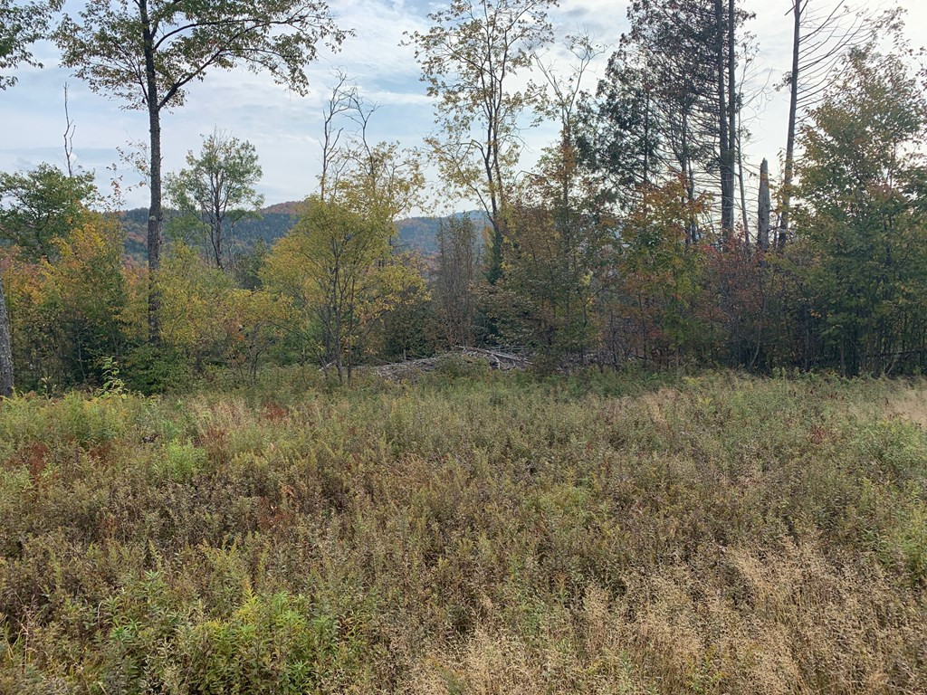 787 Glen Road Jay, NY 12941 - Photo 3 of 4 Gallery Image 3