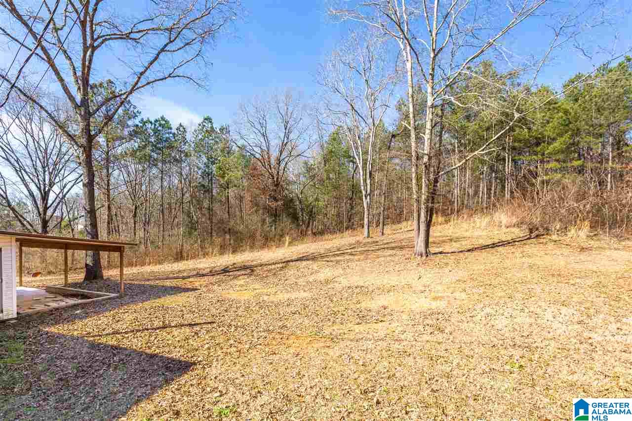 896 Taylors Chapel Road Eastaboga, AL 36260 - Photo 35 of 44