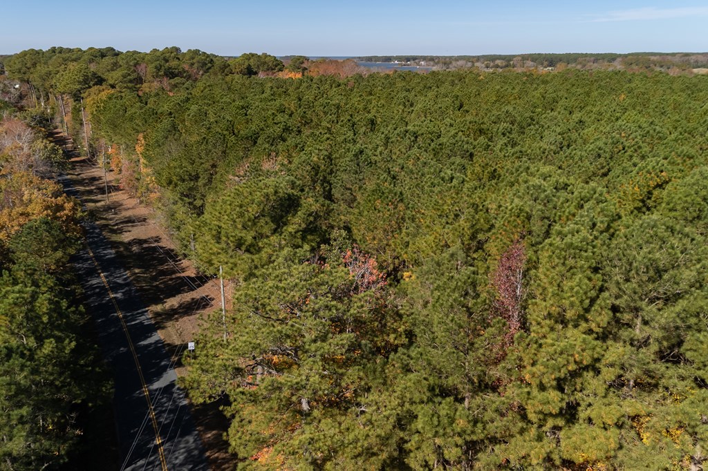 Lot 43 Country Club Road, Unit MULTI Melfa, VA 23410 - Photo 4 of 4