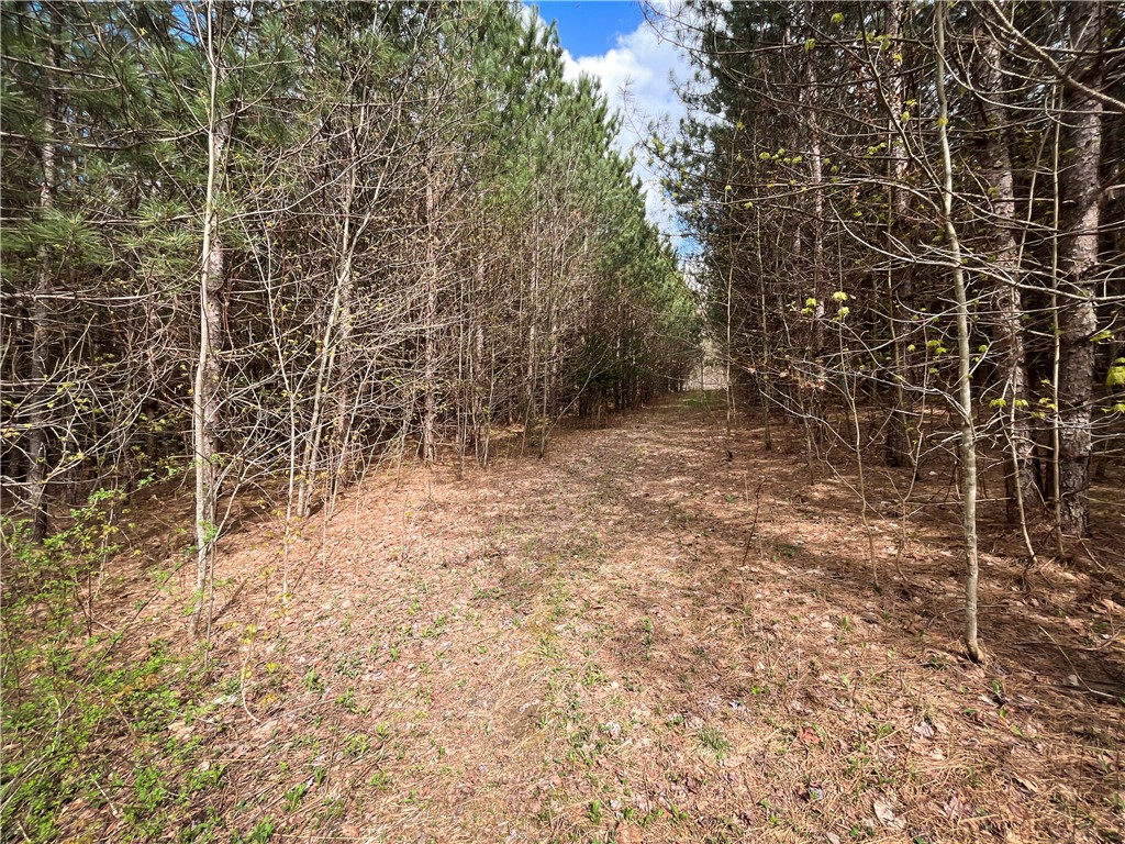 West Creek Road Richford, NY 13835 - Photo 11 of 44