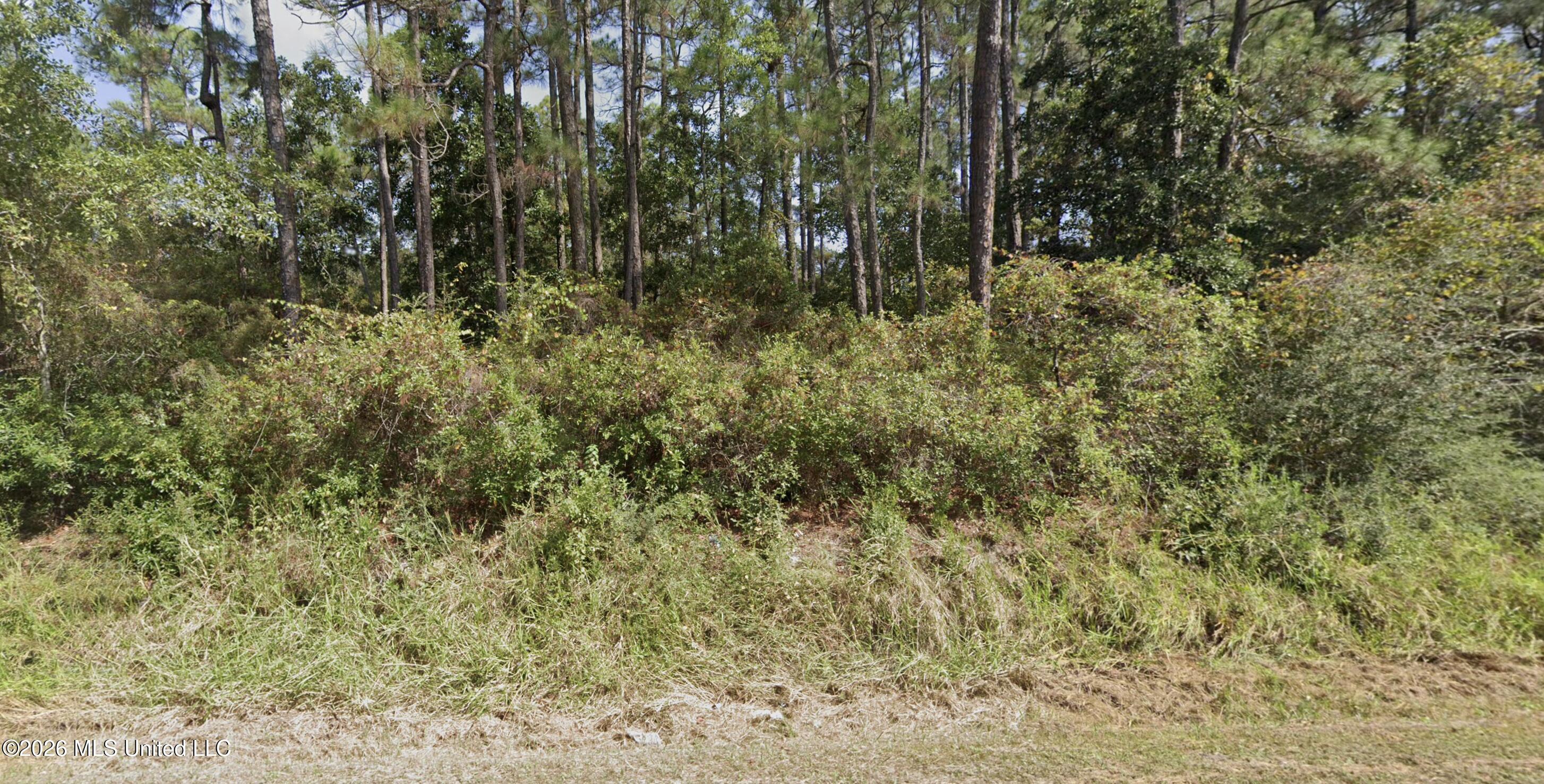 Land pic