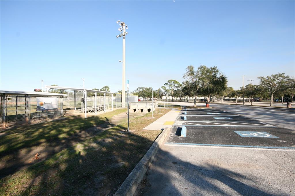 3921 East Eden Roc Circle Tampa, FL 33634 - Photo 34 of 34