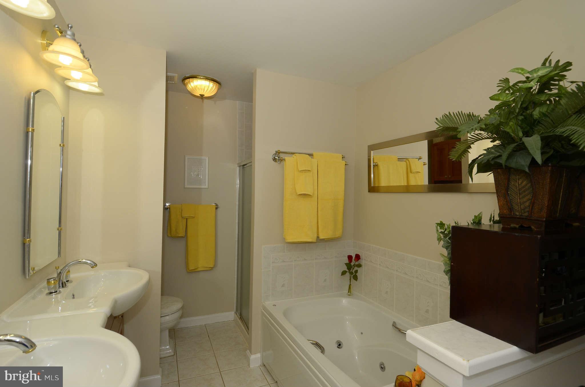 2035 Adams Hill Road Vienna, VA 22182 - Photo 13 of 28 Bath (Master)