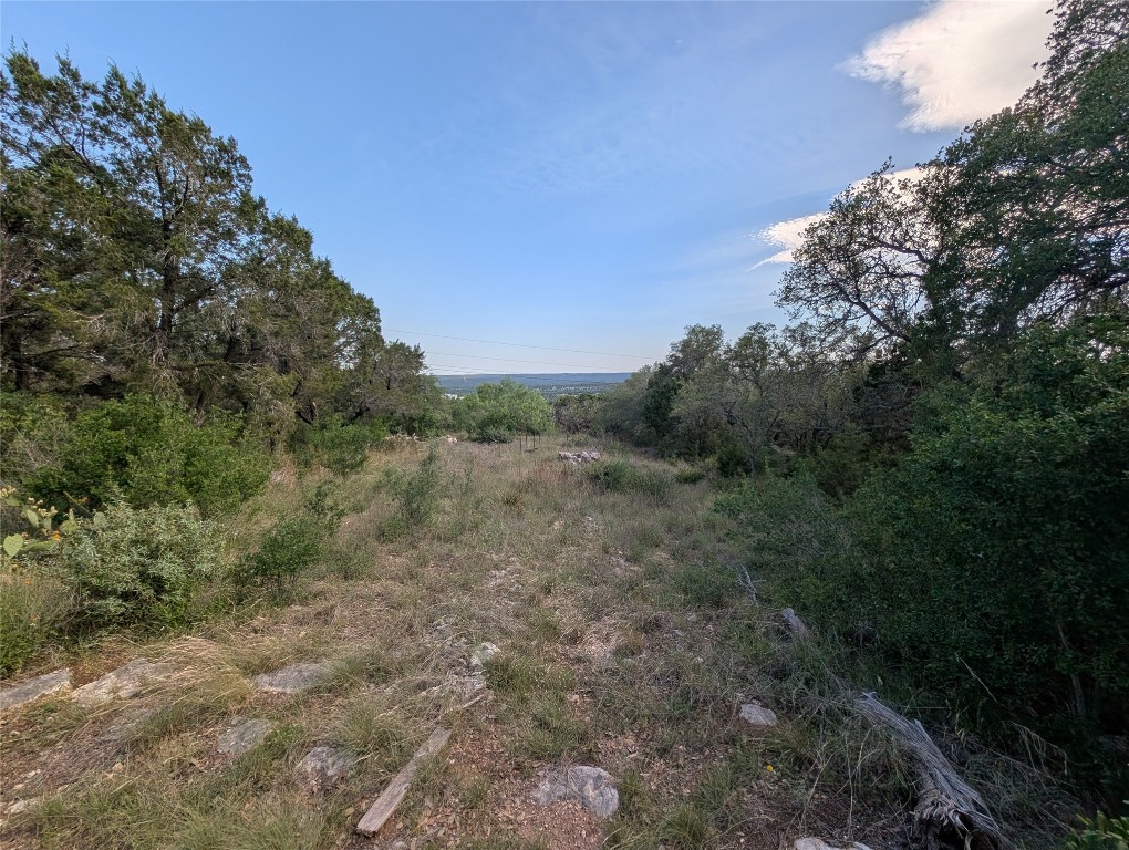 13603 Overland Pass Bee Cave, TX 78738 - Photo 24 of 30 a view of a field with trees in background
