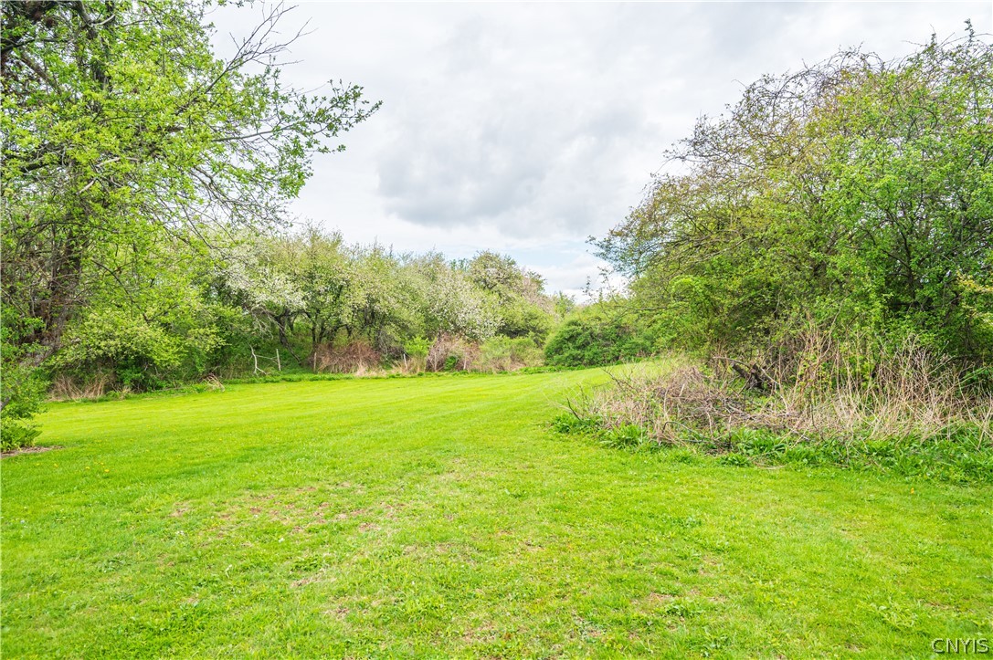 123 Bull Road Schuyler, NY 13502 - Photo 41 of 45
