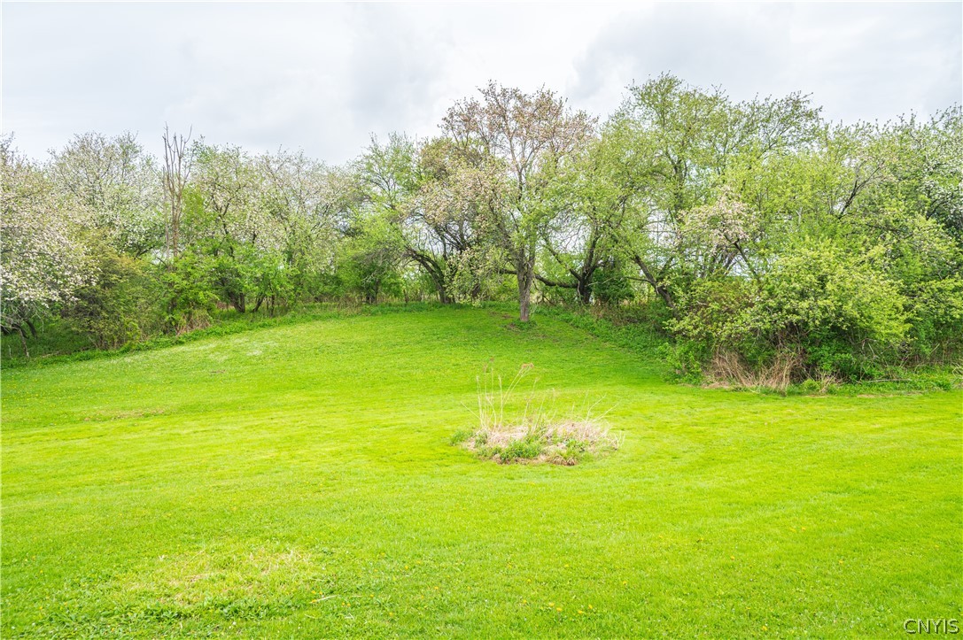 123 Bull Road Schuyler, NY 13502 - Photo 43 of 45