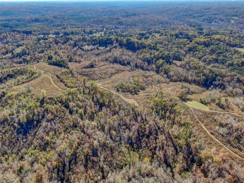 Lot I Tate Road Reidsville, NC 27320 - Photo 3 of 5 Gallery Image 3