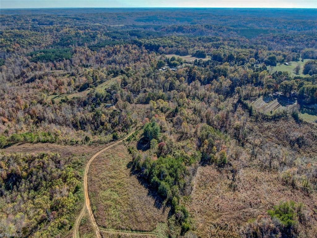 Lot I Tate Road Reidsville, NC 27320 - Photo 4 of 5 Gallery Image 4