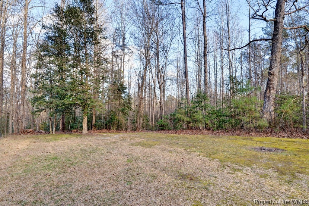 5321 North Courthouse Road Providence Forge, VA 23140 - Photo 29 of 31 Gallery Image 29