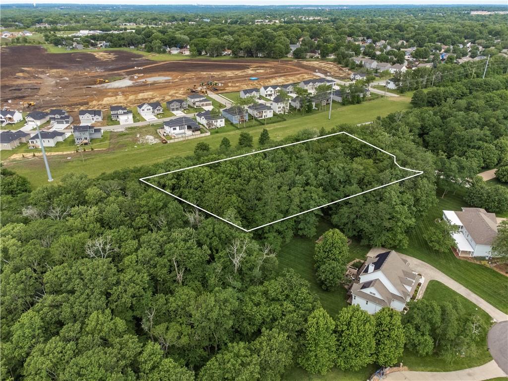 802 Southeast Willow Ridge Drive Blue Springs, MO 64014 - Photo 10 of 17