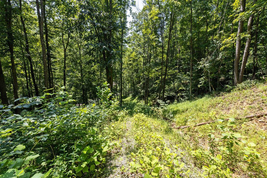 24272 Conrad Road Laurelville, OH 43135 - Photo 25 of 32 25-Walking Path-4