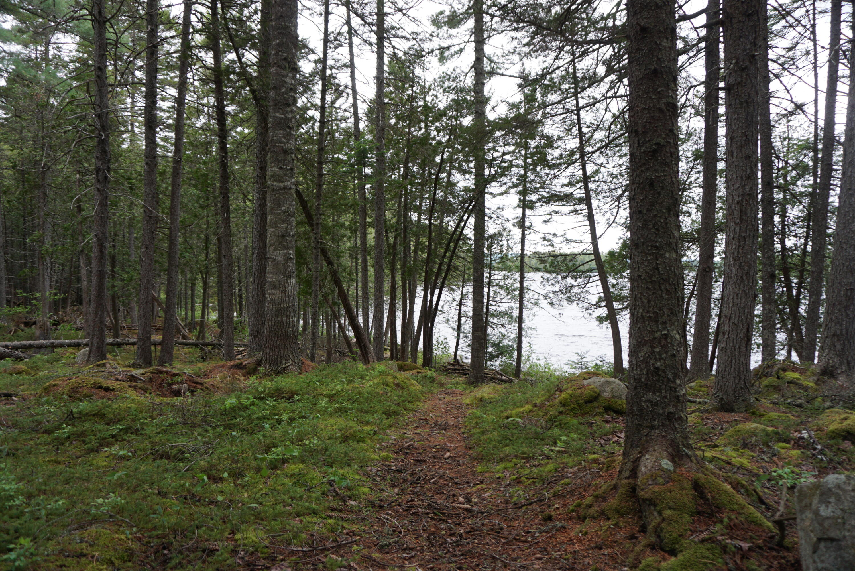 10 Beaver Road West Forks, ME 04985 - Photo 35 of 37 52F59DAD-9941-46D4-AAED-9DDD4F031BEE