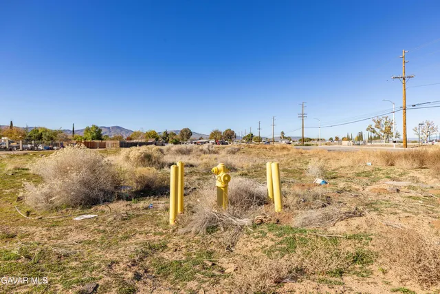 a view of a yard with an ocean view