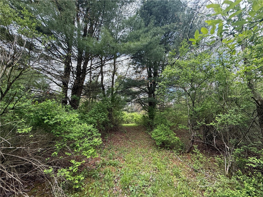 Caswell Road Freeville, NY 13068 - Photo 16 of 47