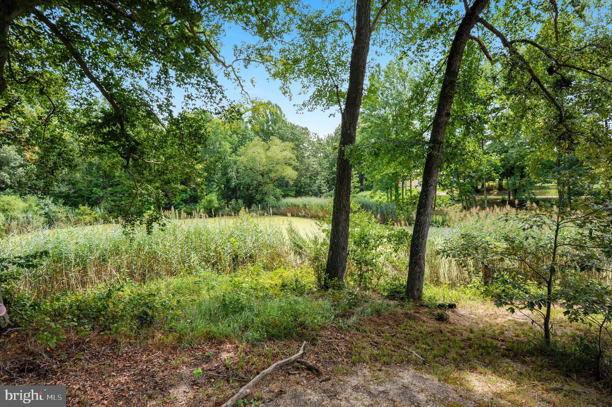 15412 Letcher Road Brandywine, MD 20613 - Photo 7 of 31 Exterior Creek