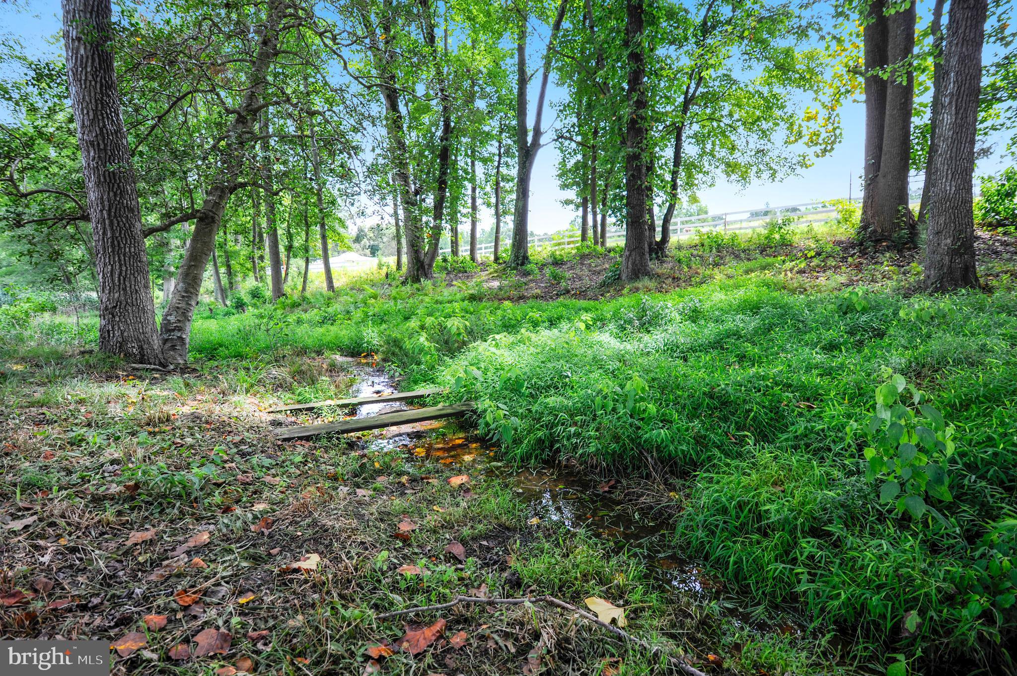 15412 Letcher Road Brandywine, MD 20613 - Photo 8 of 31 Gallery Image 8