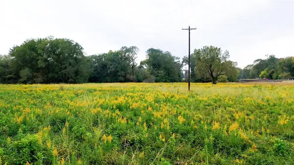 a view of a green field with trees in the background