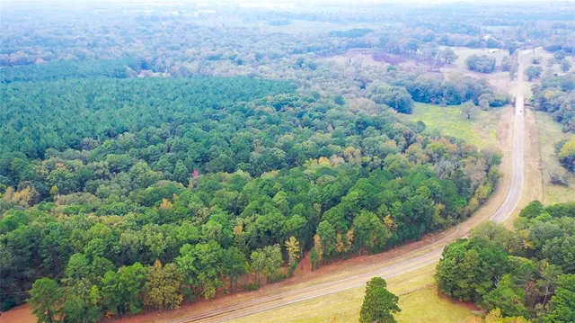 an aerial view of residential houses with outdoor space and trees