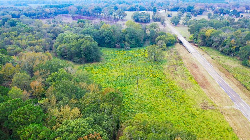 5015 561st Road Simms, TX 75574 - Photo 27 of 33 a view of a lush green forest with houses