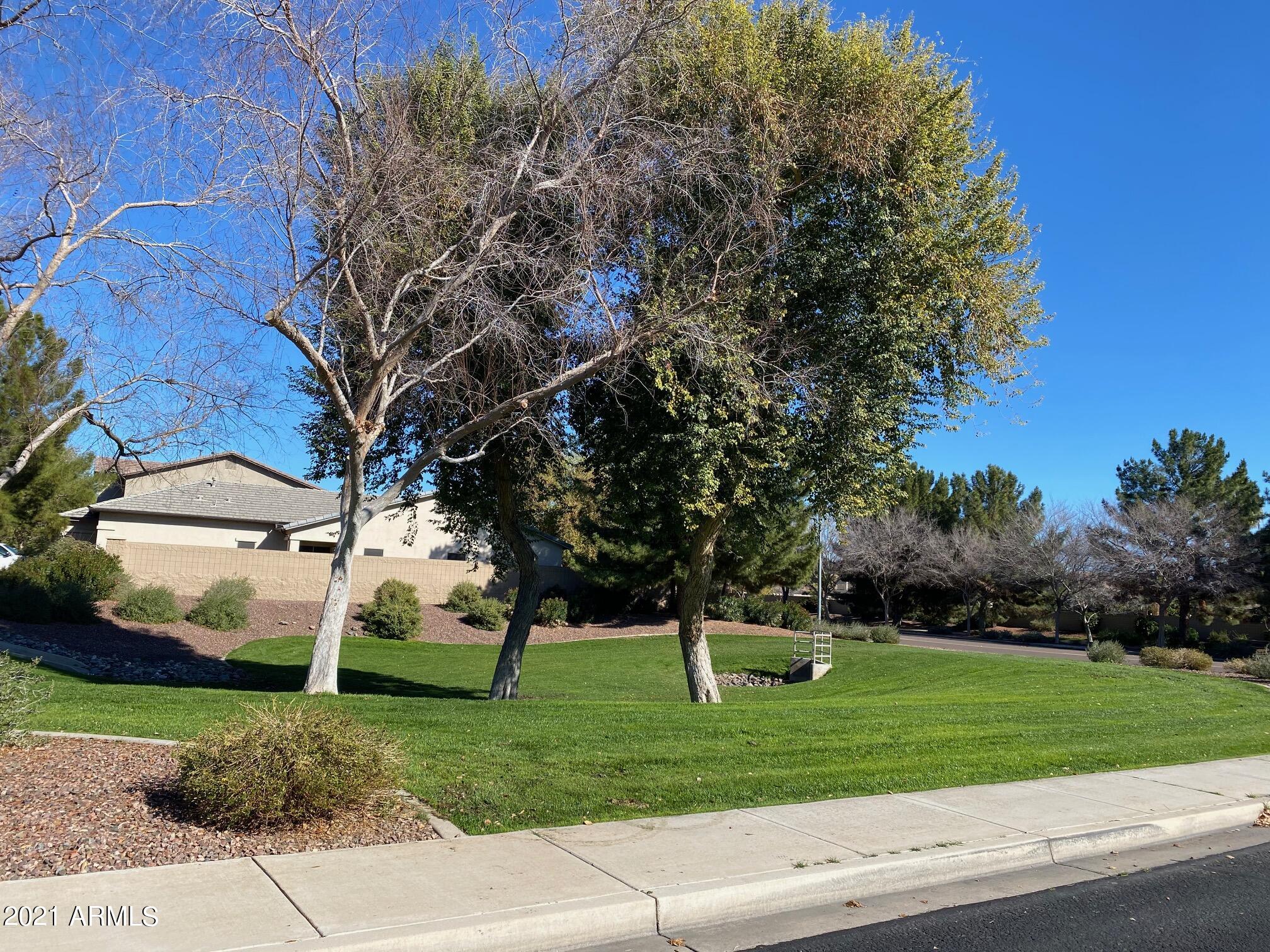 14641 West Hearn Road Surprise, AZ 85379 - Photo 37 of 42 a front view of a house with a yard