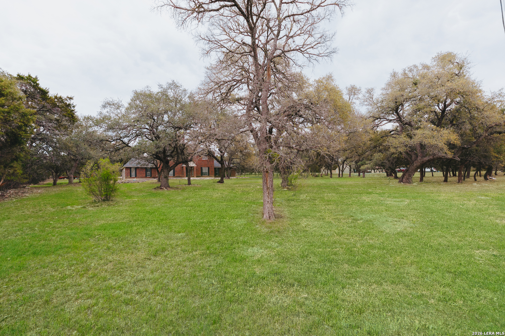 432 Rebecca Springs Road Spring Branch, TX 78070 - Photo 33 of 41
