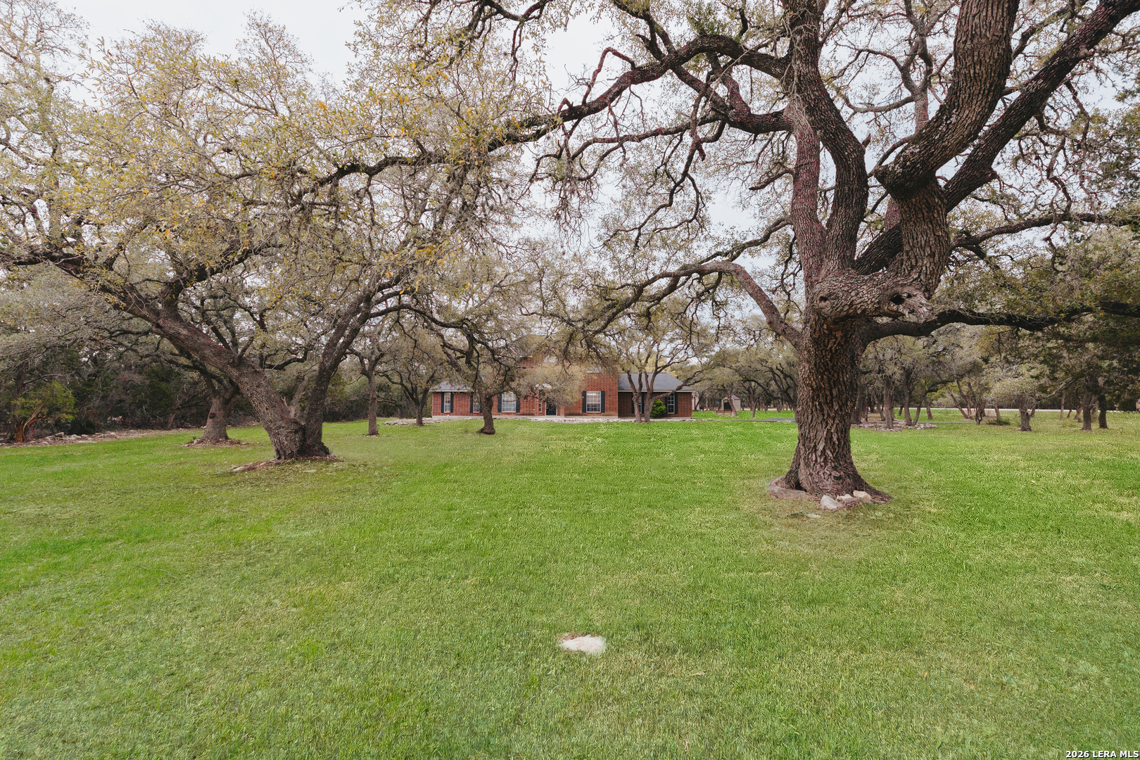 432 Rebecca Springs Road Spring Branch, TX 78070 - Photo 34 of 41