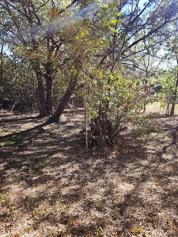 1 Davis Street Wimberley, TX 78676 - Photo 6 of 7