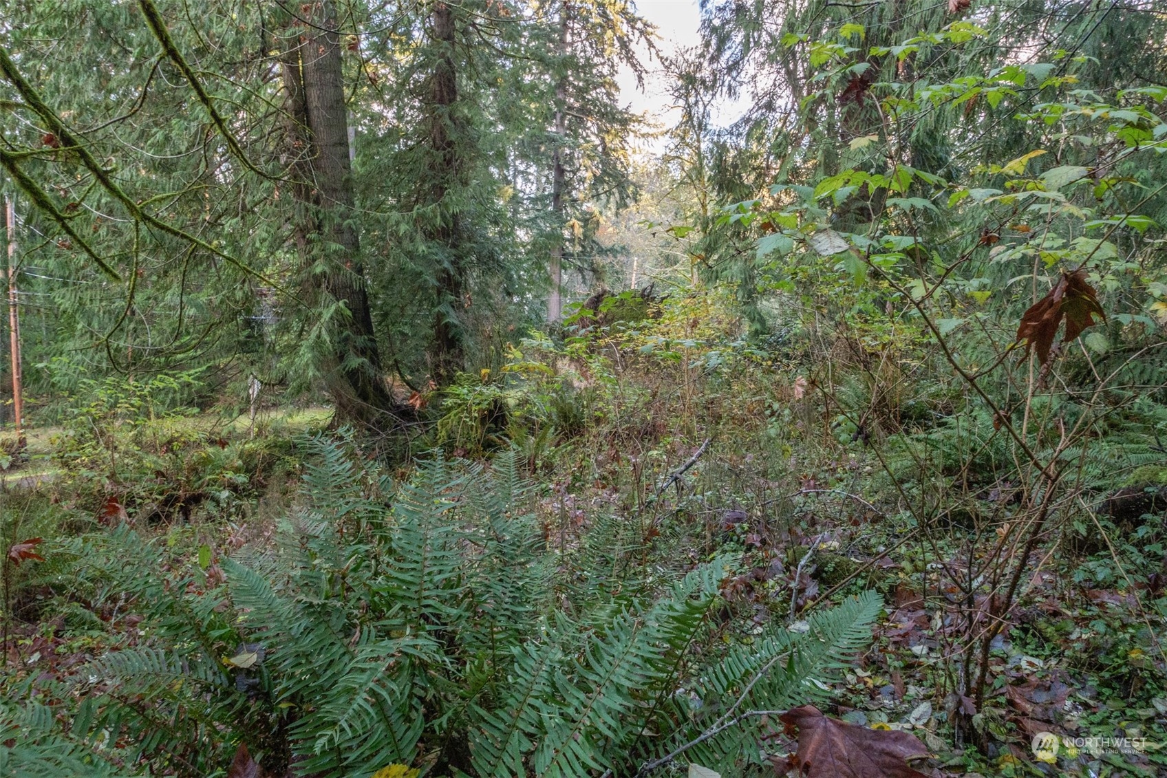 12173 Southwest Cedarhurst Road Vashon, WA 98070 - Photo 4 of 13 Gallery Image 4