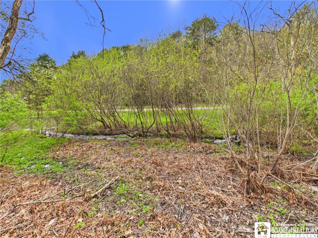 1986 Yubadam Road Cuba, NY 14727 - Photo 41 of 48